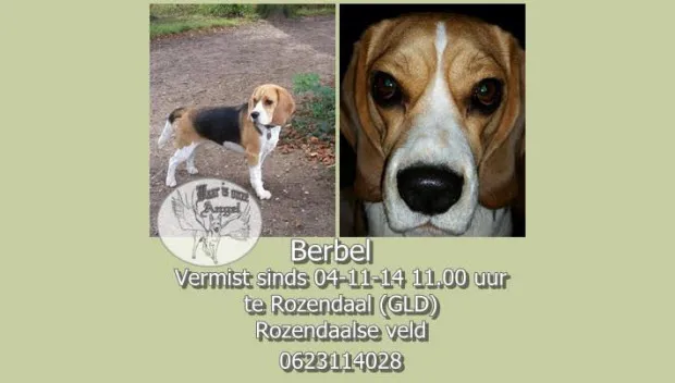 zzdcliwuwdkyrp8eq0hribnfk berbel