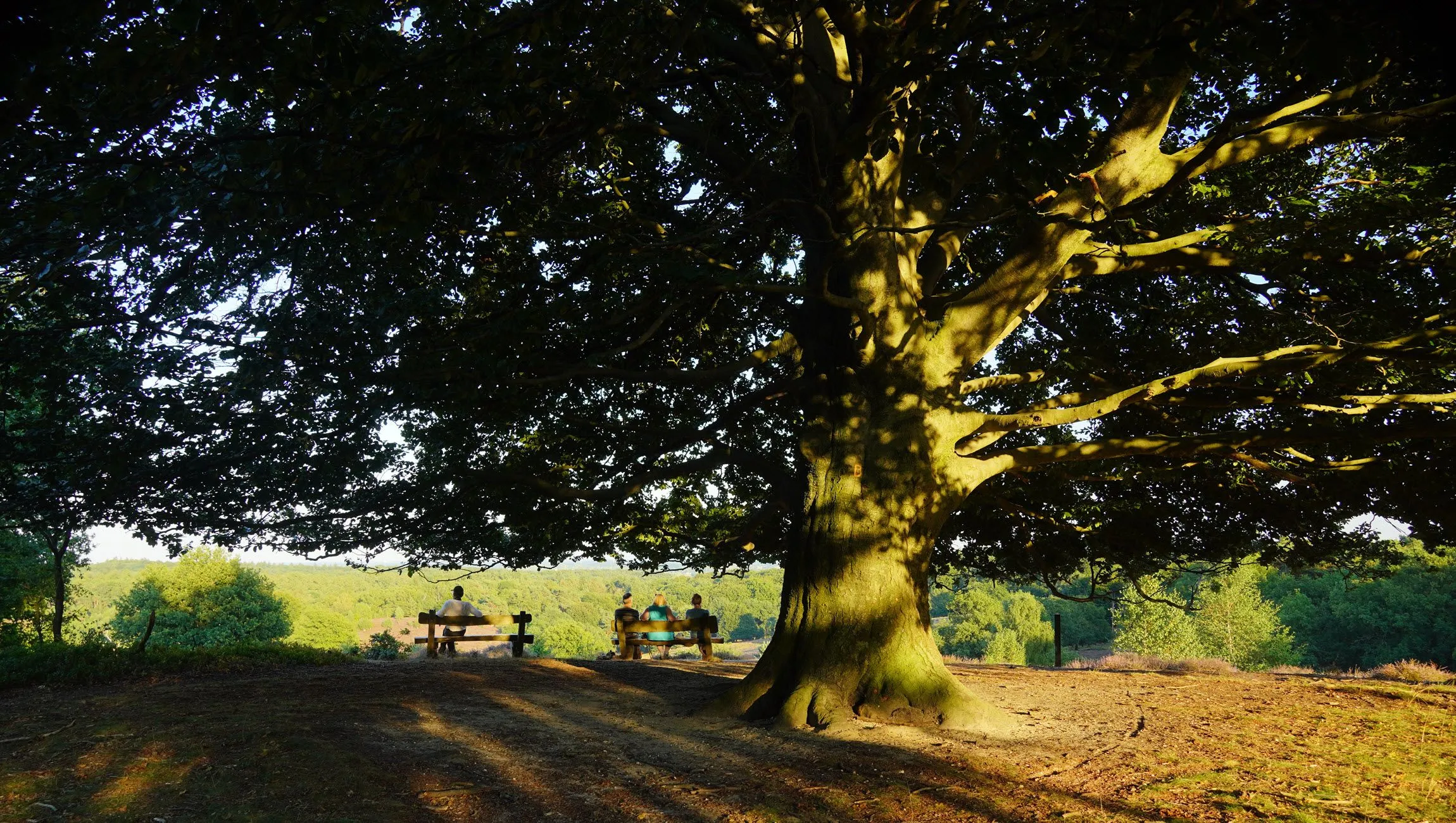 ivn wandeling natuurlijk welbevinden ivn oost veluwezoom