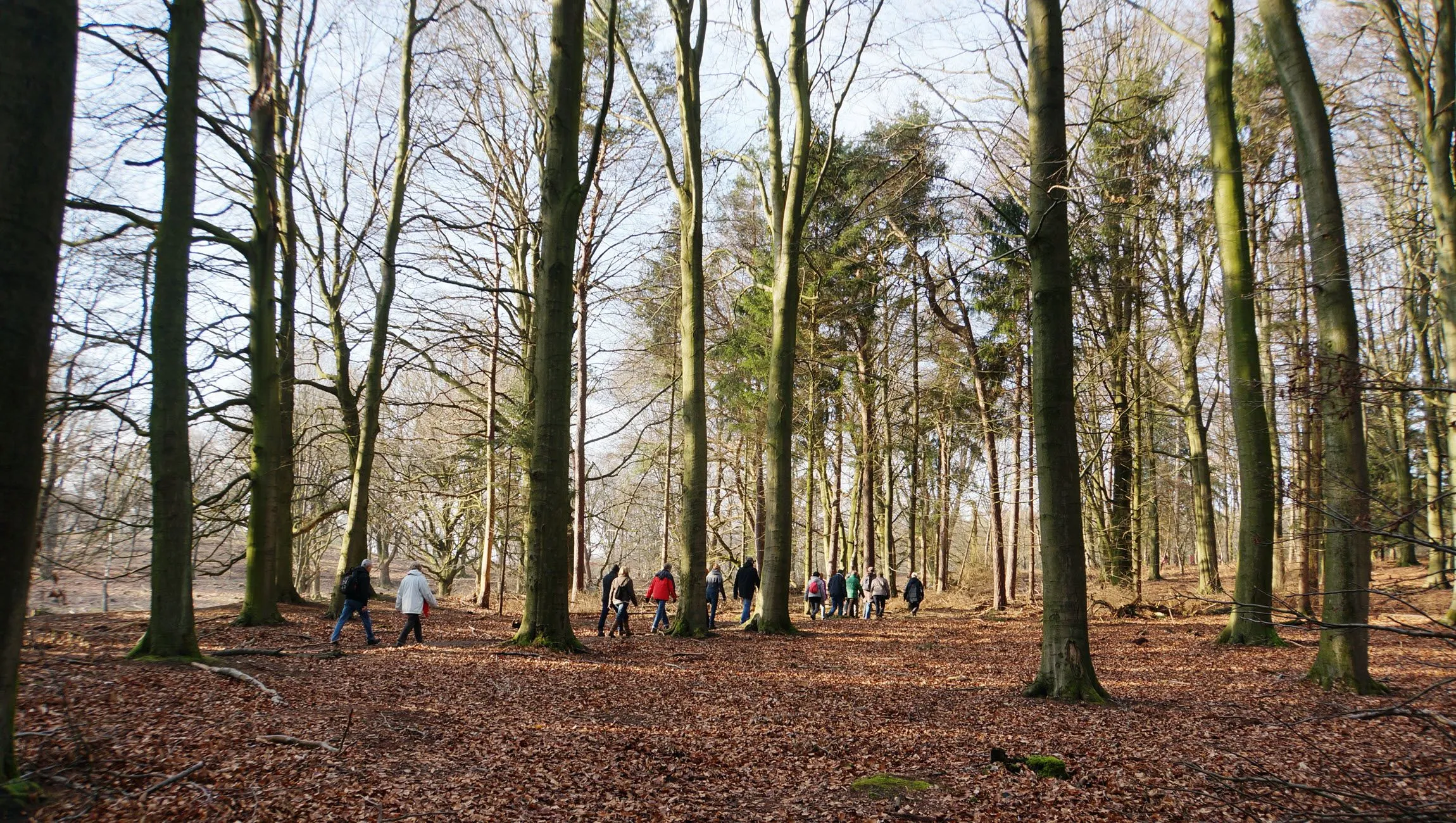 herfstverschijnselen corlene van den camp