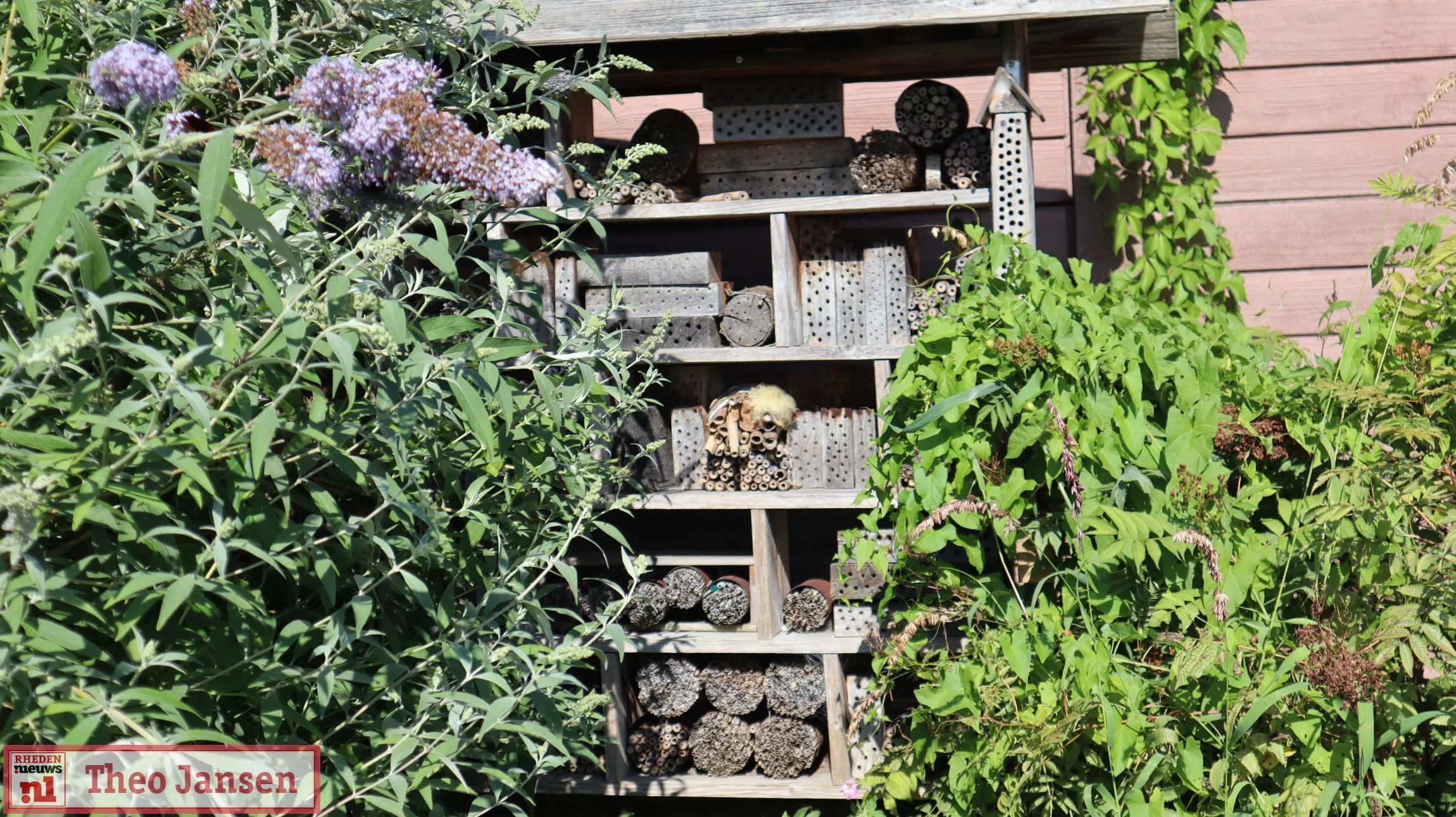 open dag in de dorpstuin rheden trekt bezoekers 07 09 2024 17