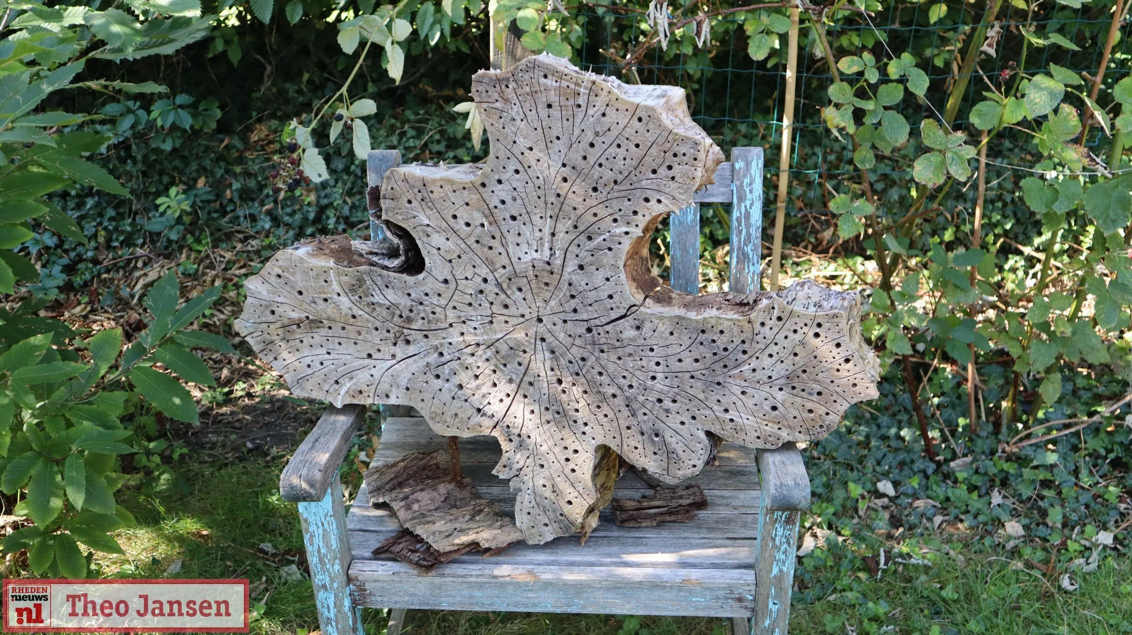 open dag in de dorpstuin rheden trekt bezoekers 07 09 2024 5