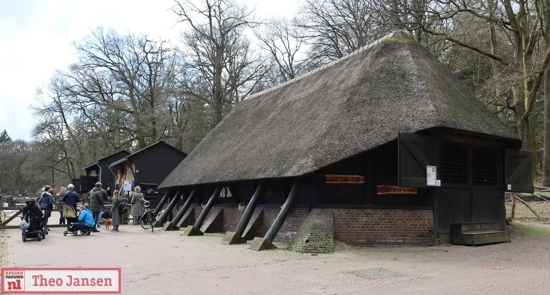 adoptie 1e lammetje rhedense schaapskudde 2025 19