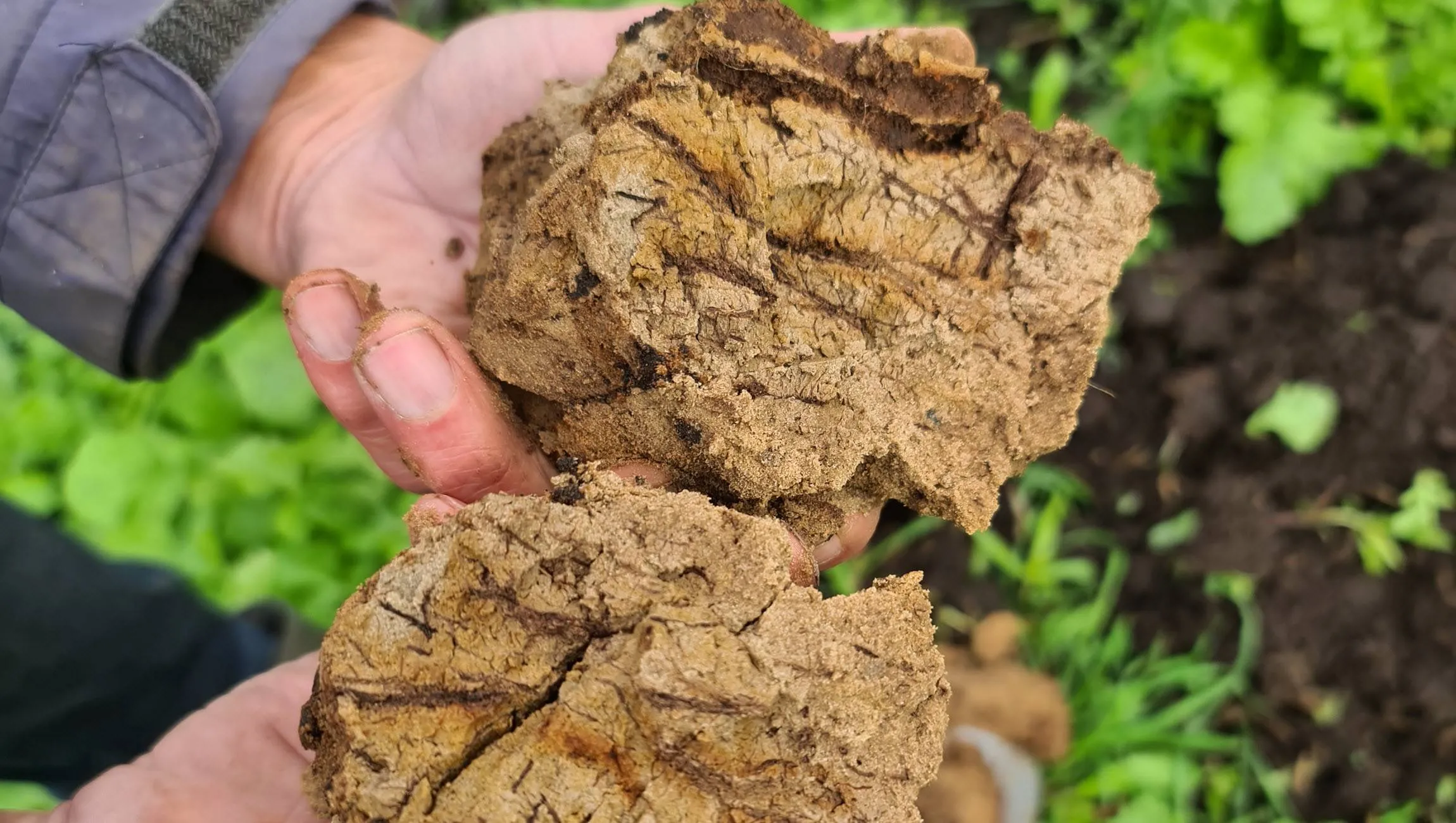 bodemkluit deltaplan agrarisch waterbeheer