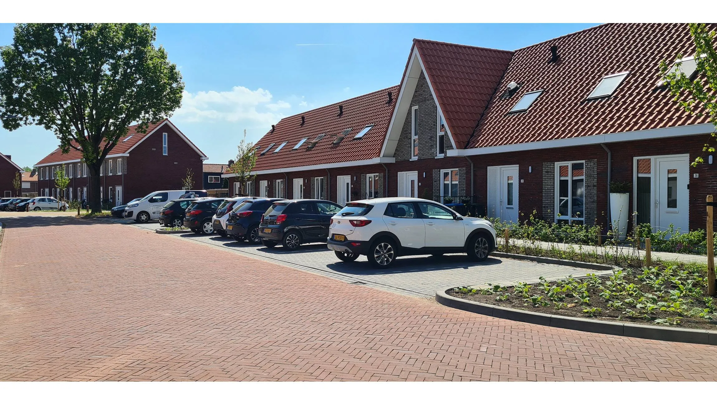 dr schaepmanstraat groen 2025