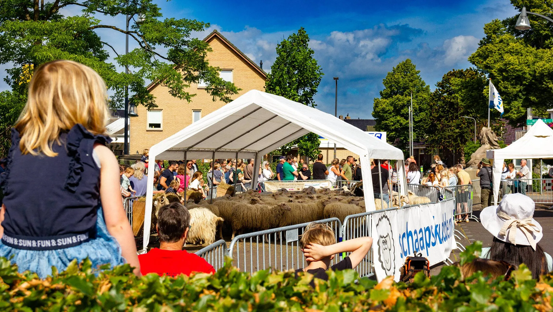 bonte schaap festival vincent riebroek