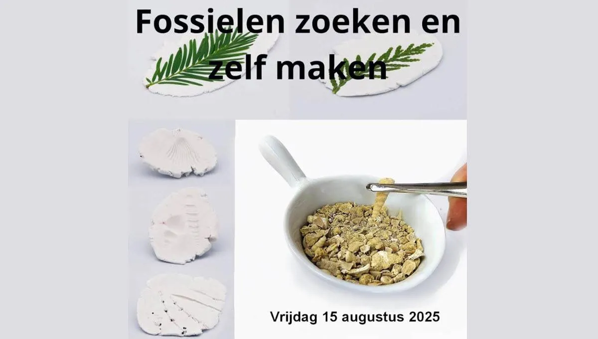 Fossielen zoeken én zelf maken in het Gelders Geologisch Museum