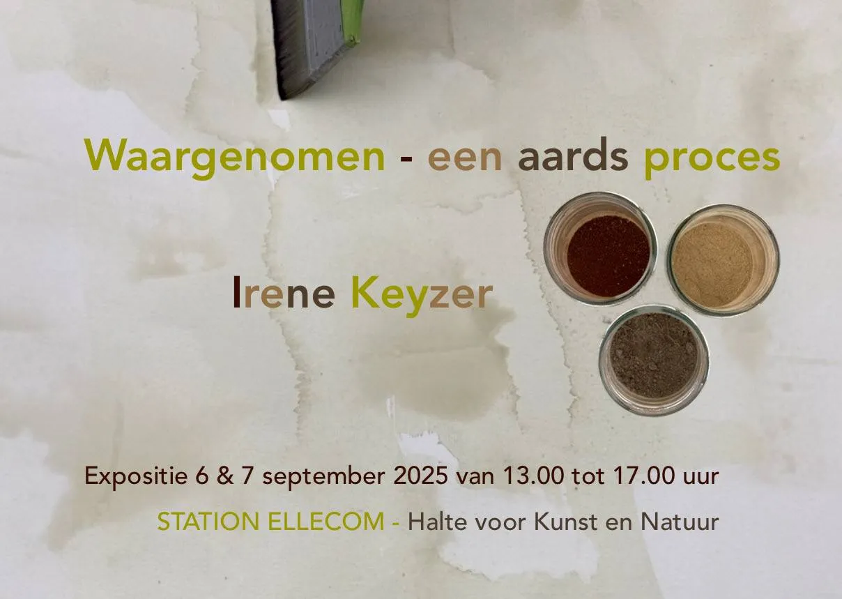 Waargenomen - een aards proces expositiebeeld - Irene Keyzer