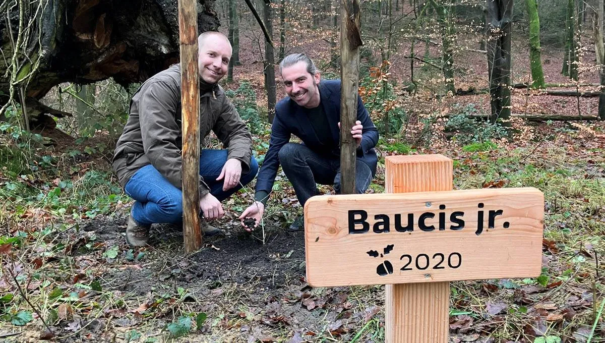 Baucis gemeente Rheden