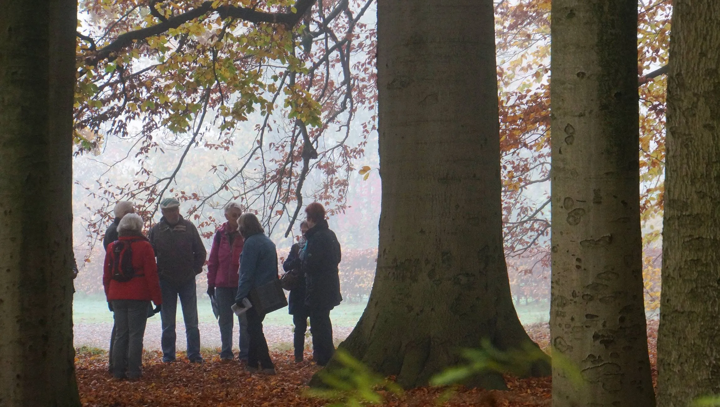 Sylvesterwandeling - IVN Oost-Veluwezoom