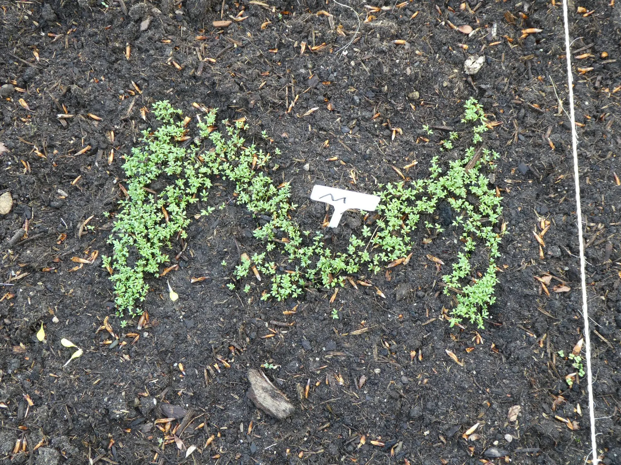 Kindertuin Rozendaal 2 Ria van Doorn