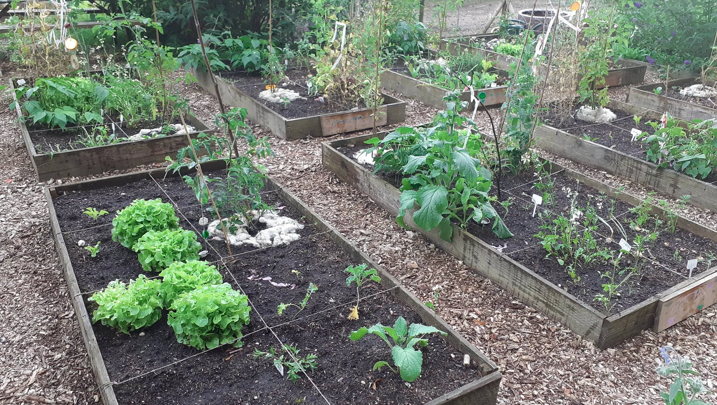 Kindertuin Rozendaal Ria van Doorn