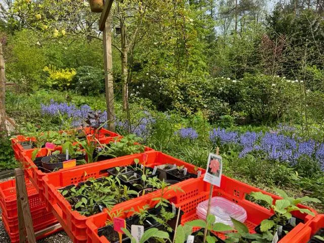 Groei & Bloei afd. Veluwezoom