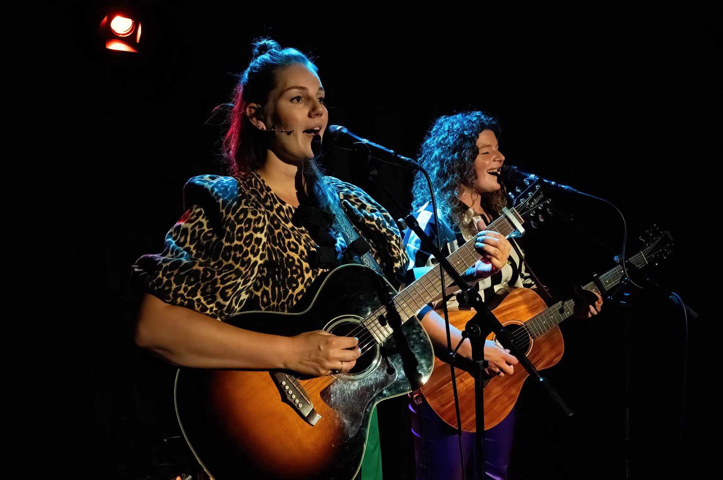 Spruijt en Opperman - Jaap Reedijk