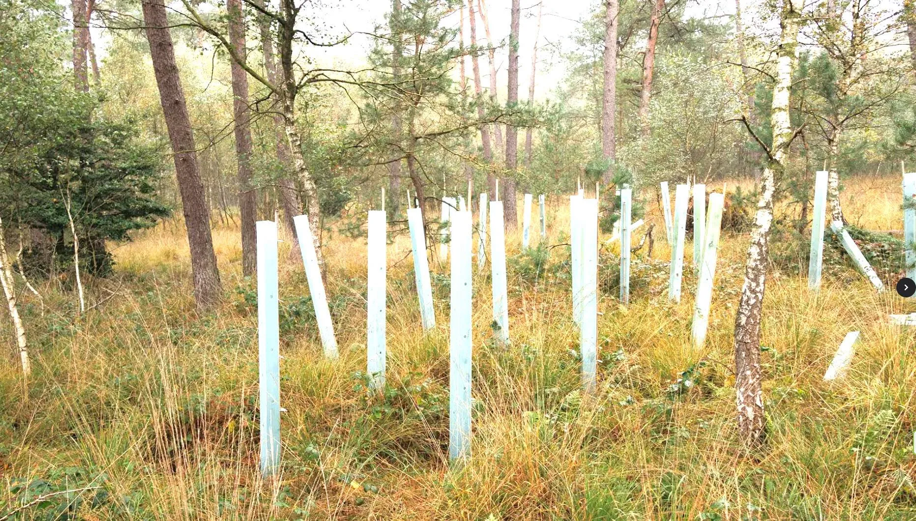 IVN Oost-Veluwezoom
