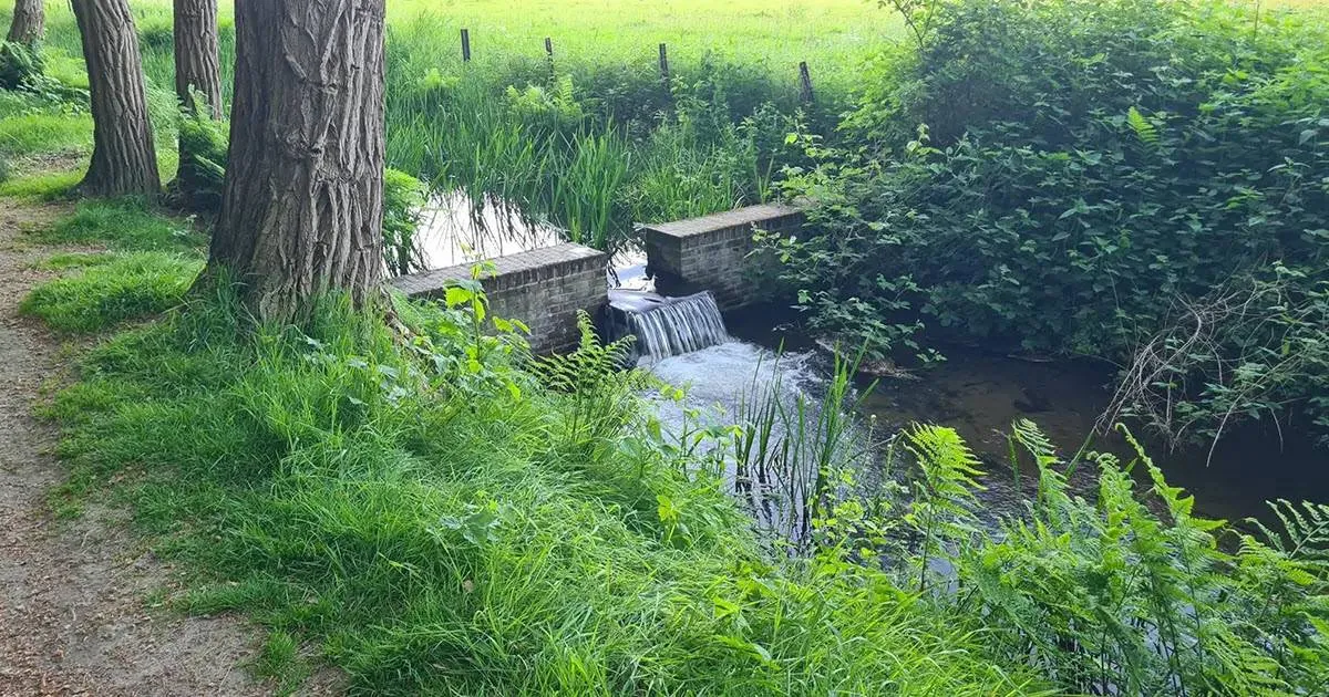 IVN wandeling - Beken bij Biljoen - IVN Oost-Veluwezoom