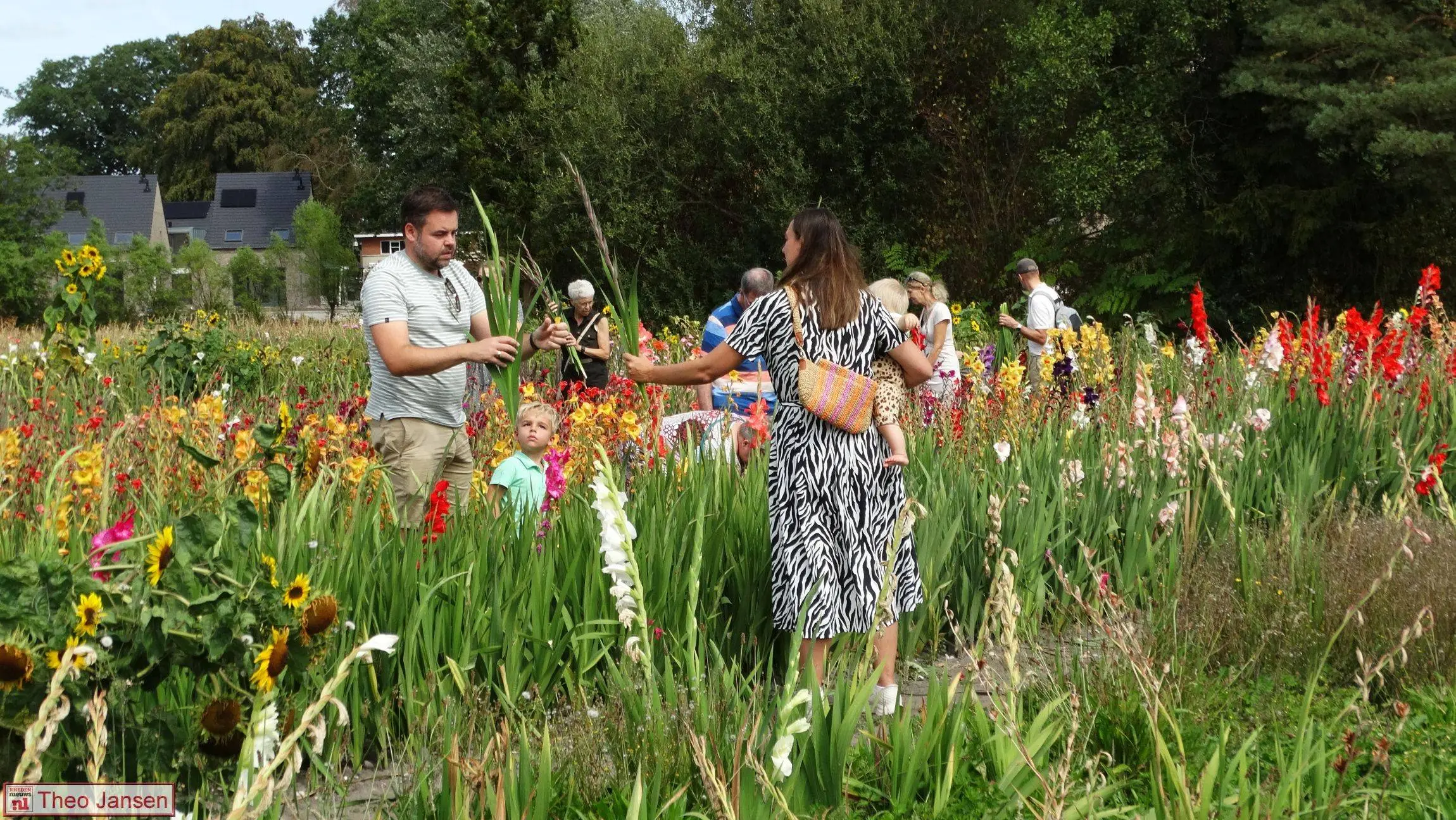 Gladiolenfestival in Laag-Soeren trekt opnieuw veel bezoekers 16-8-26 (11)