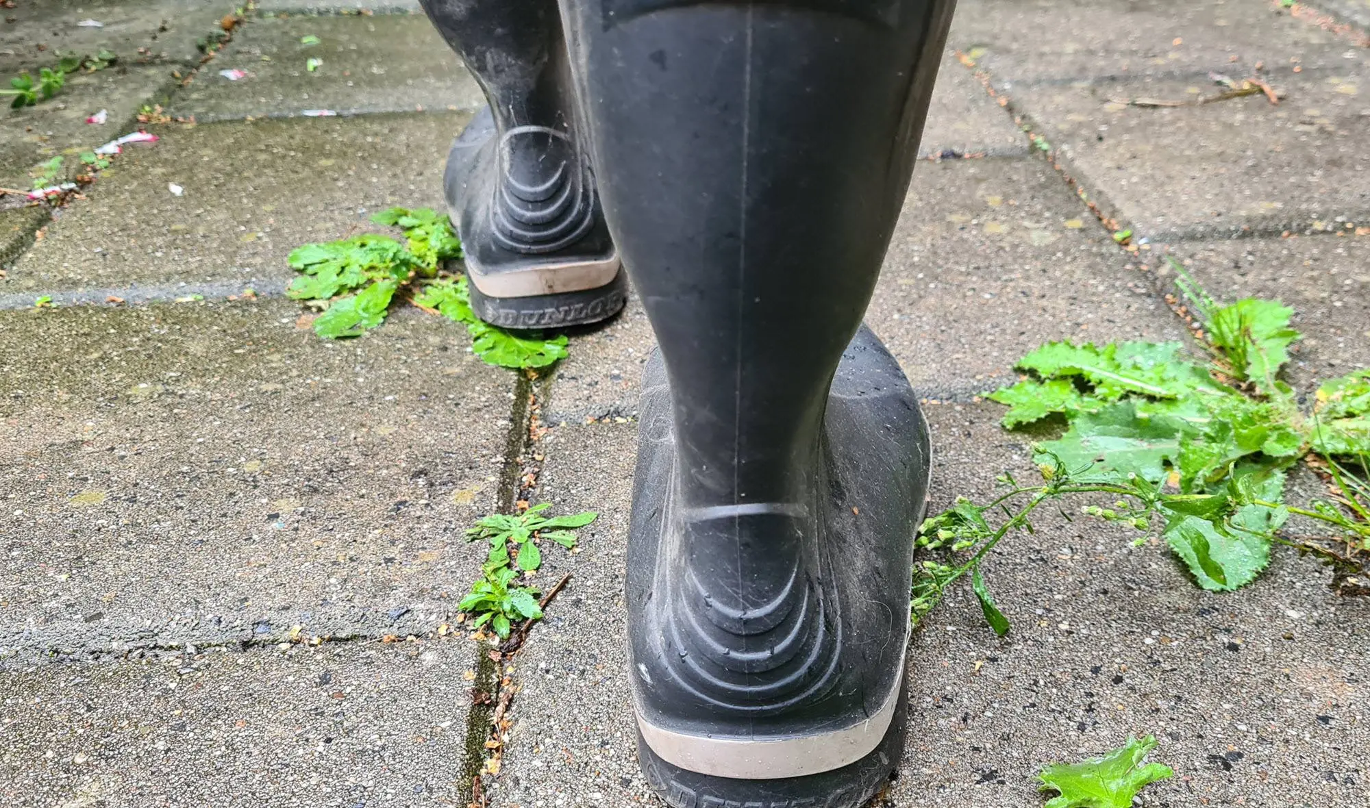 wandelen RN