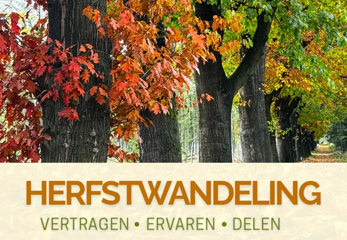 Herfstwandeling1 - Jorine Dirks
