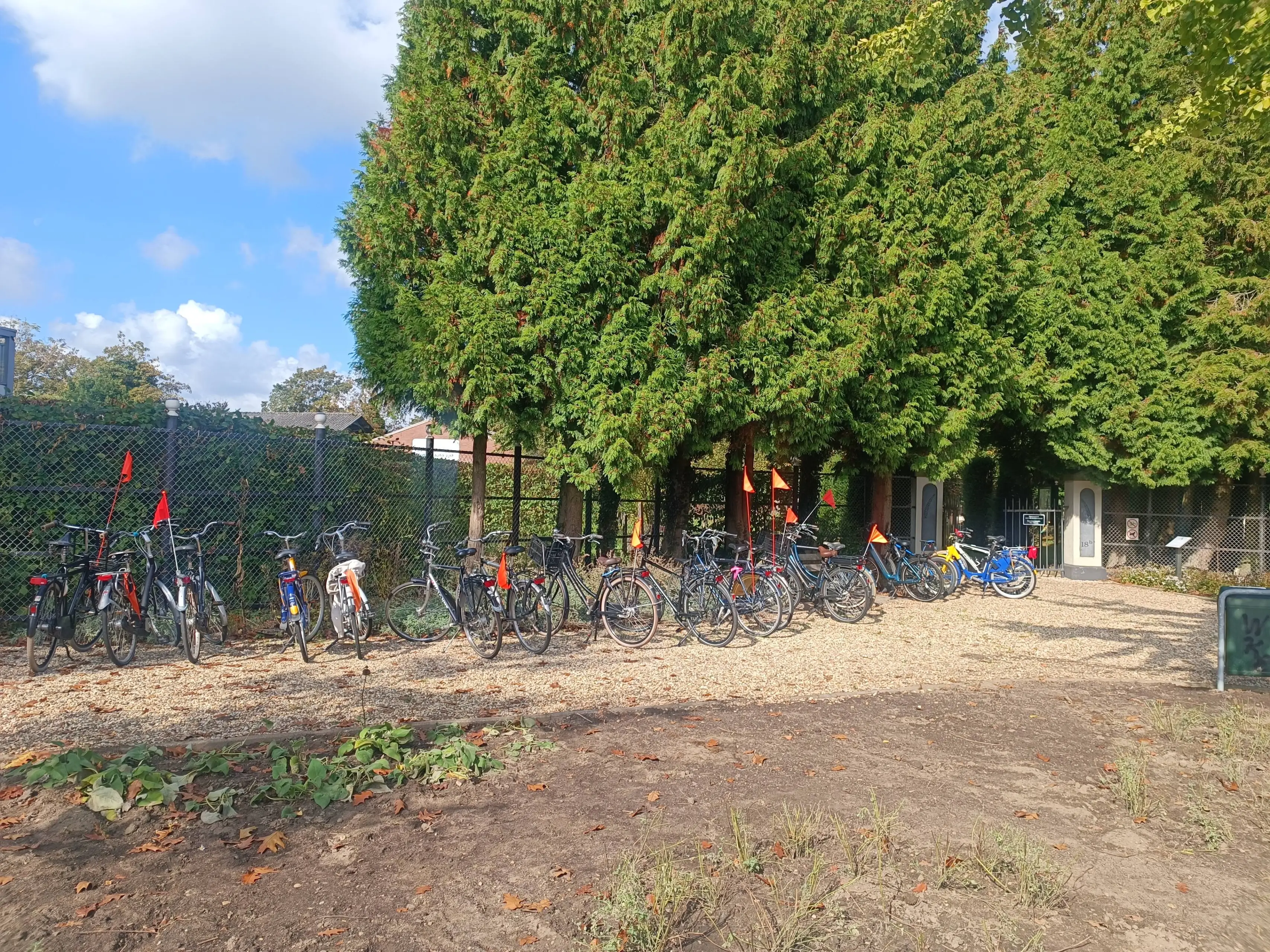 Studenten steken handen uit de mouwen op Oude Begraafplaats in Velp 02-10-26 (4)