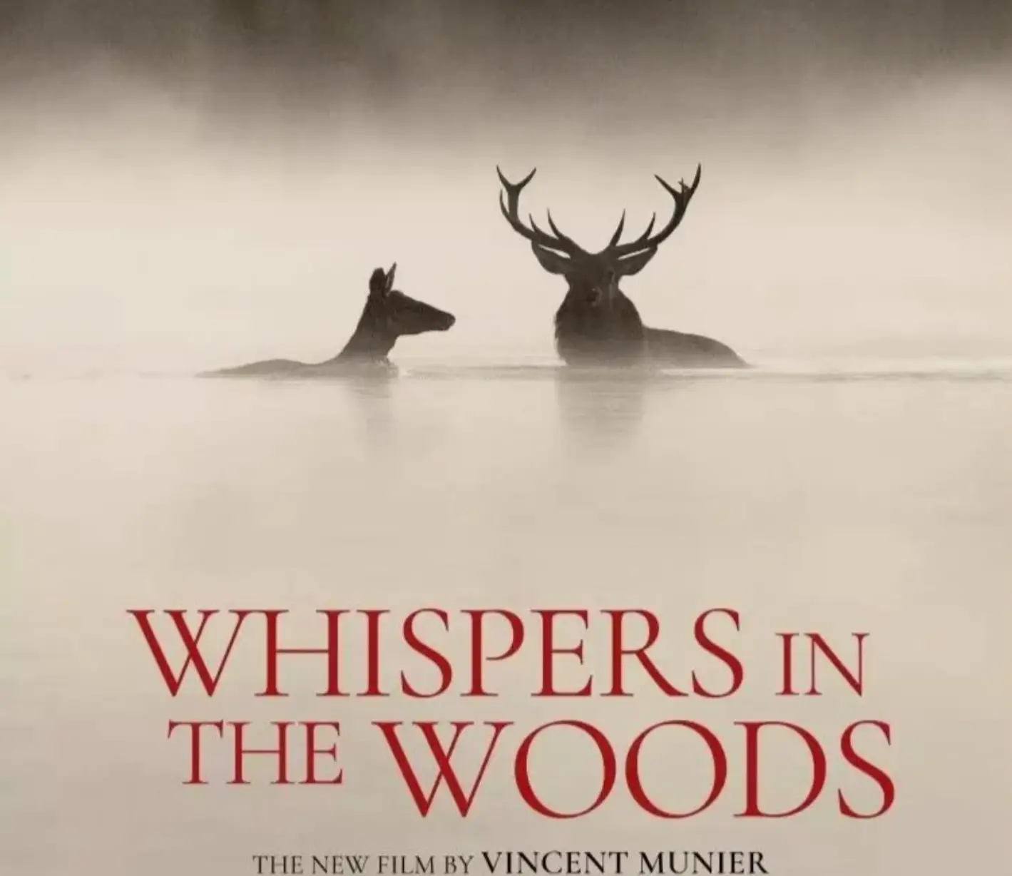 Whispers in the Woods