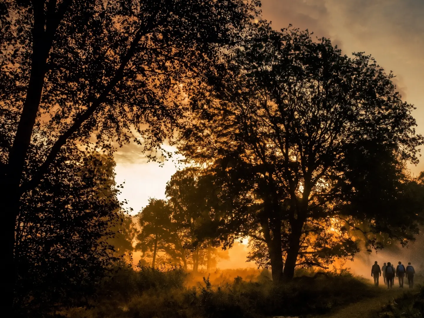 avond wandeling door de Meinweg met VVV Hart van Limburg gids  ©HartvanLimburg