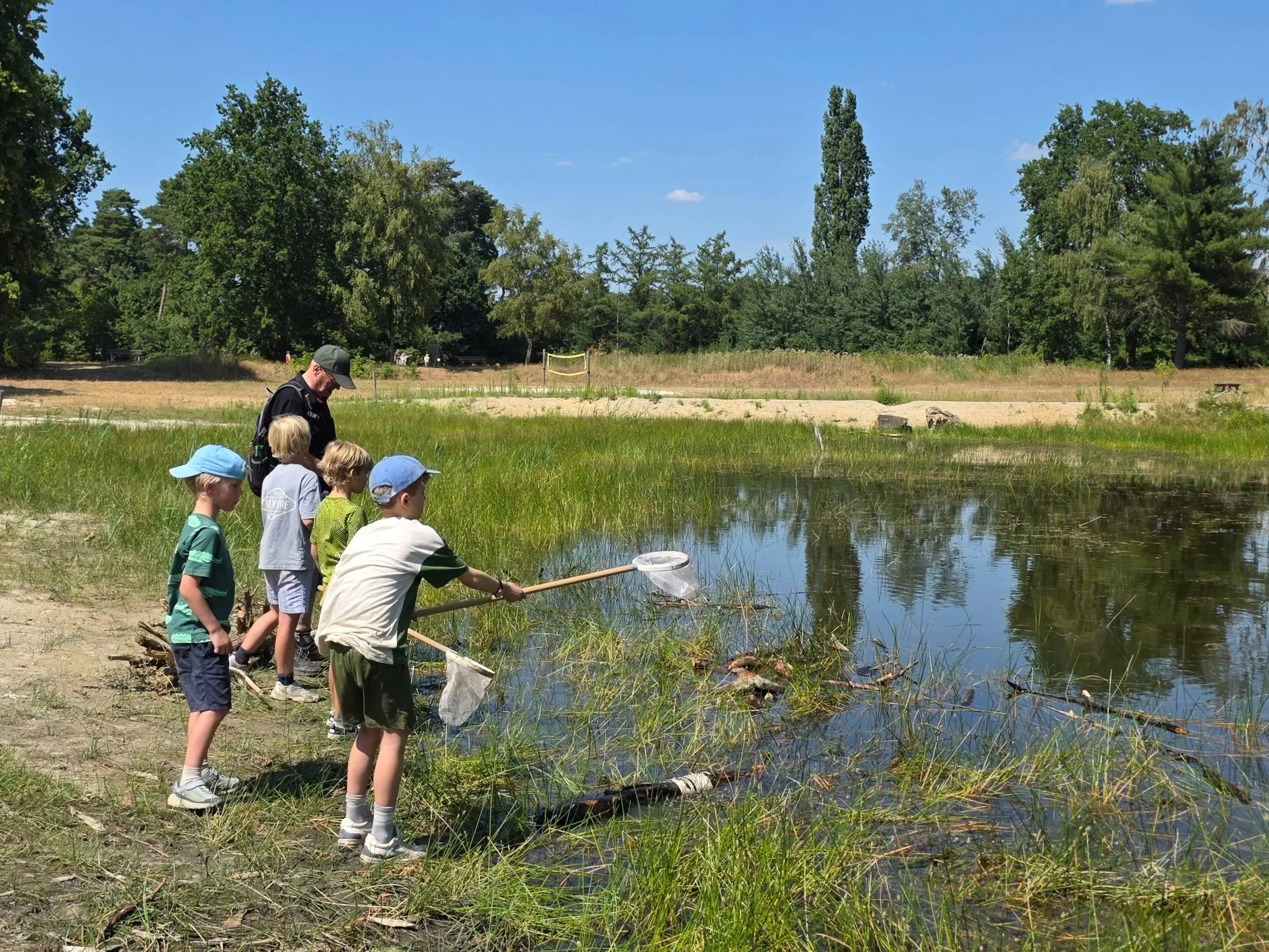 waterdiertjes zoeken Huttopia