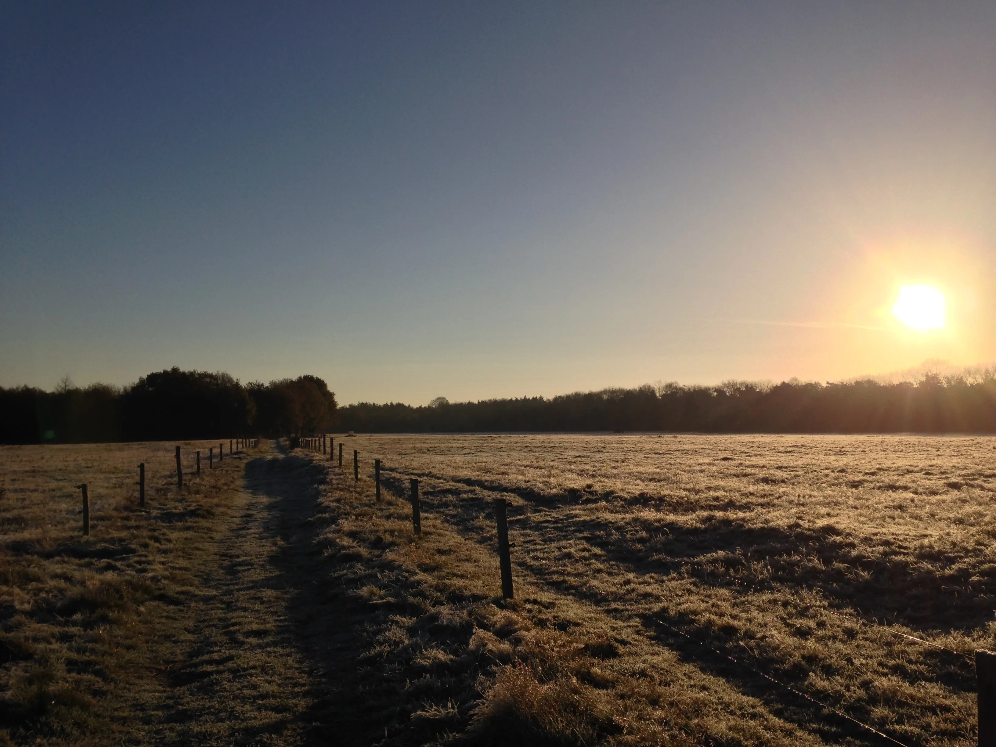 20231226 winter de hout swalmen