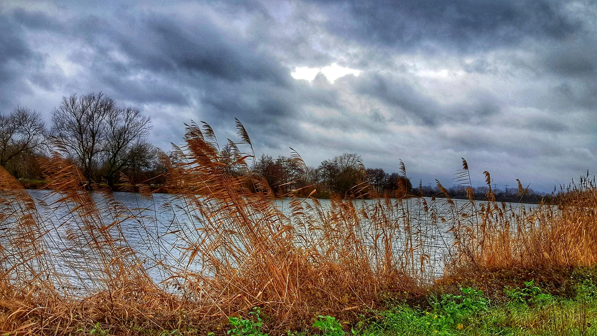 49472158 1122764734553906 3894187323331444736 o