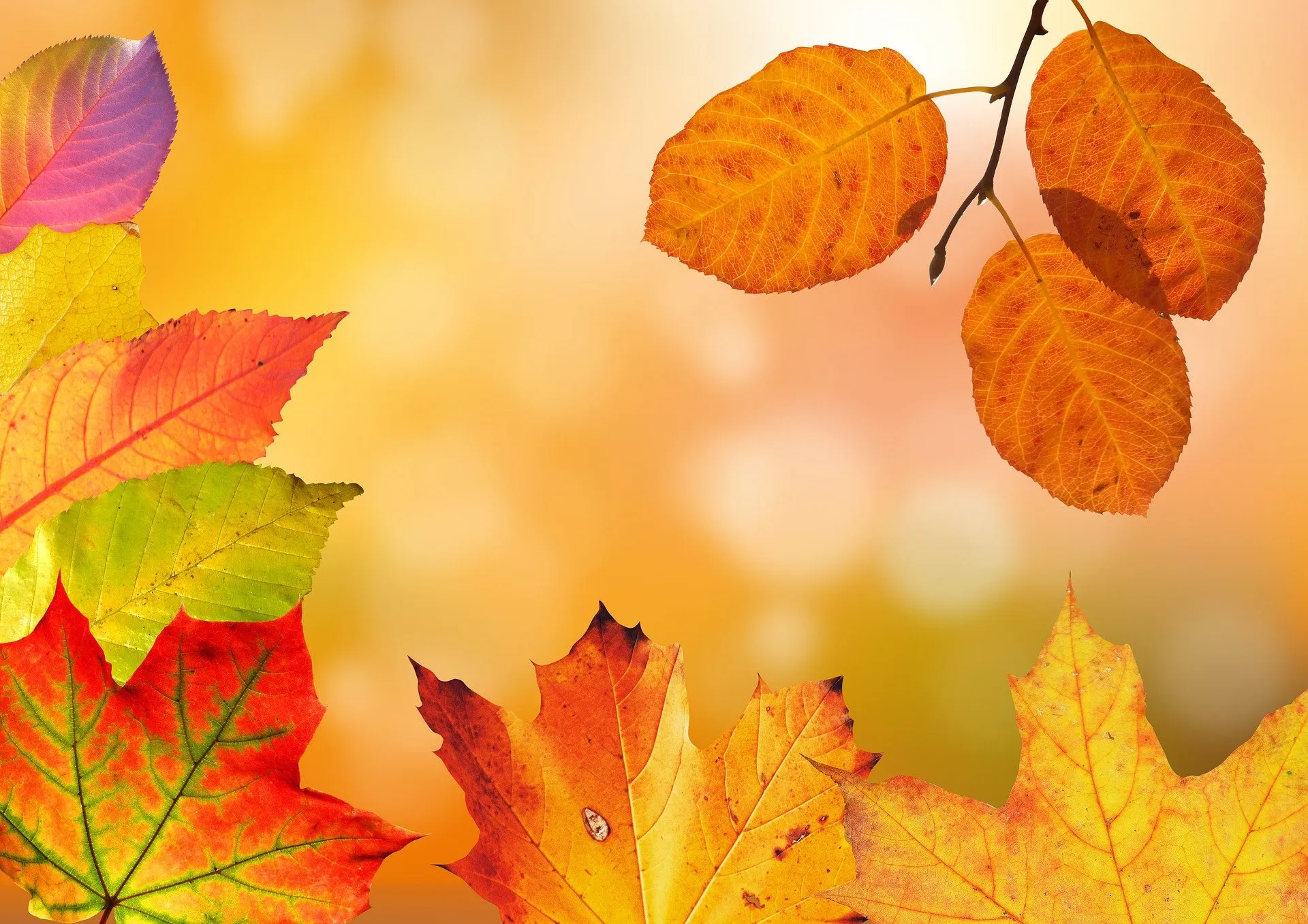 autumn g2cac187b5 1920