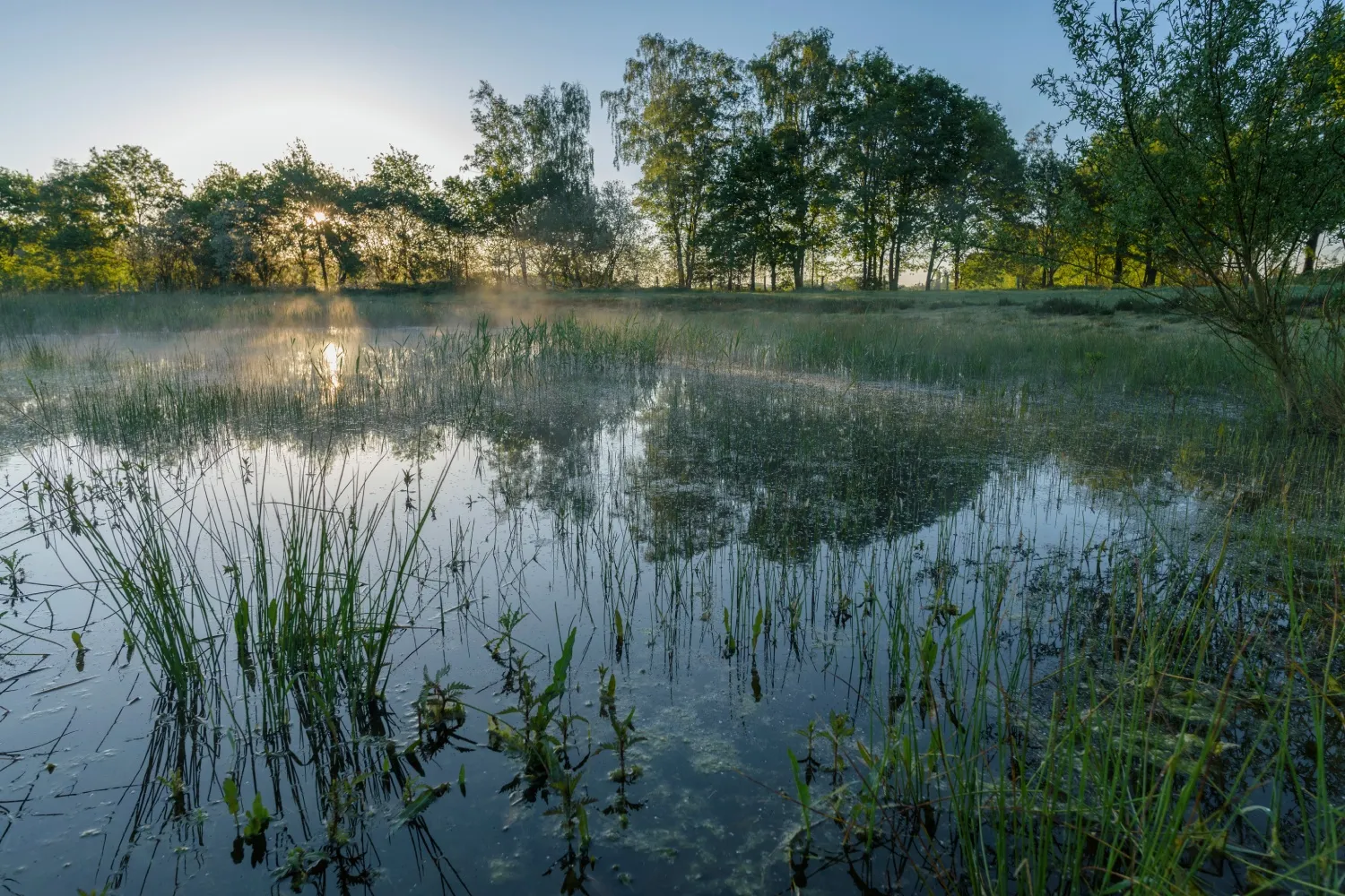 bergerheide patrick palmen