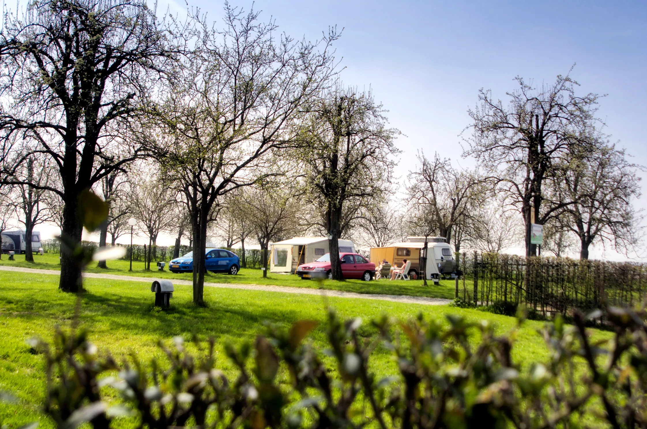 boerderijcamping