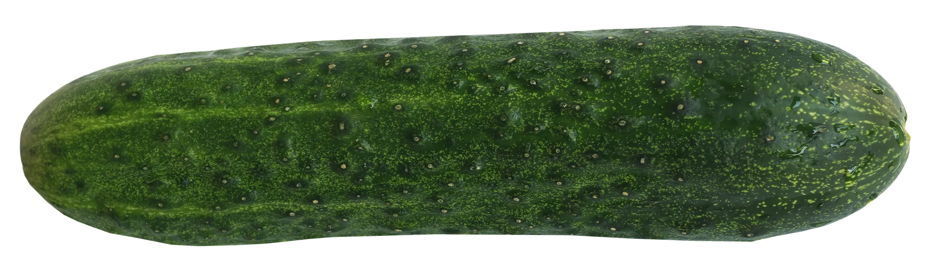cucumber 2488875 1920