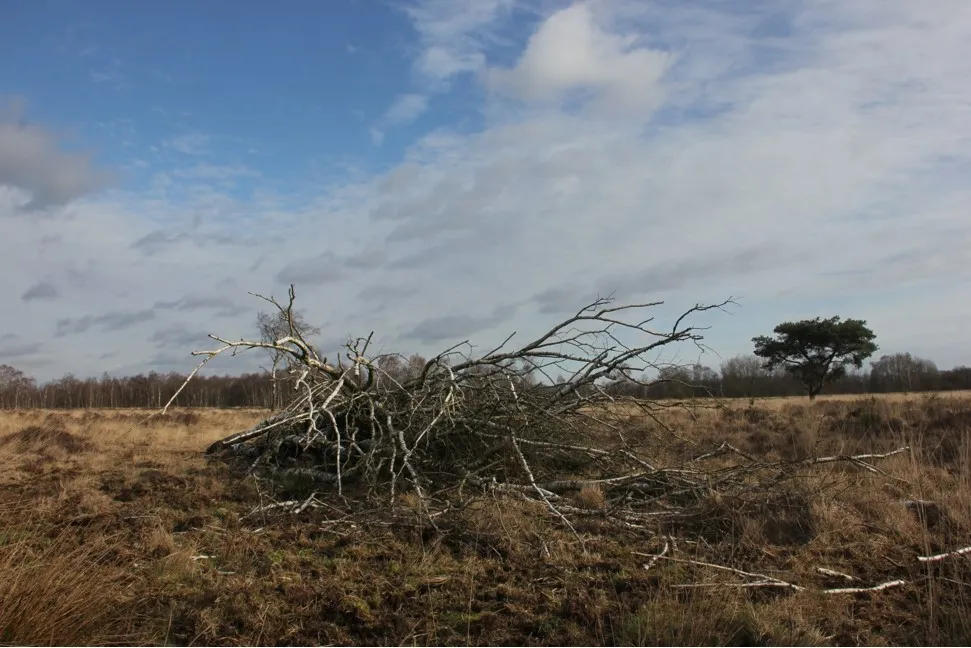 d794cc15e3ef499dbc949b09899ca592