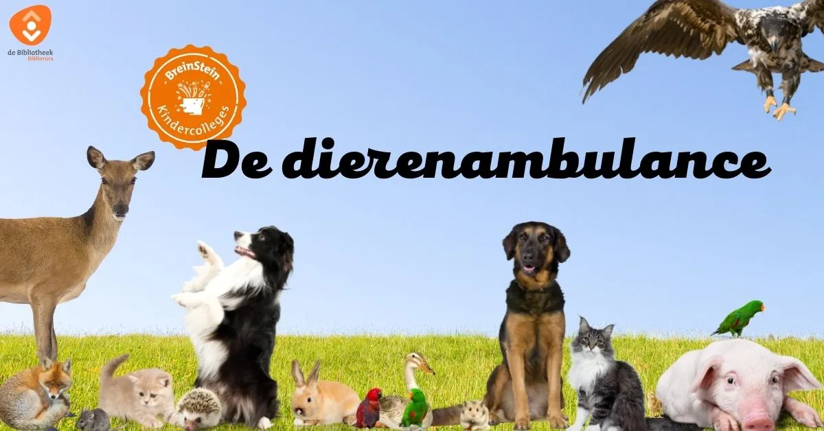 de dierenambulance bij de bibliotheek bibliorura