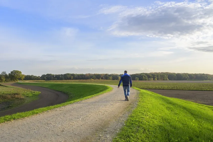 dijk langs de maas waterschap limburg