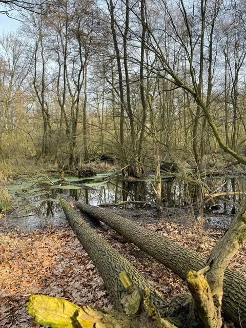 fa8b3c36dd624b19b71e3cad65c6f4c3