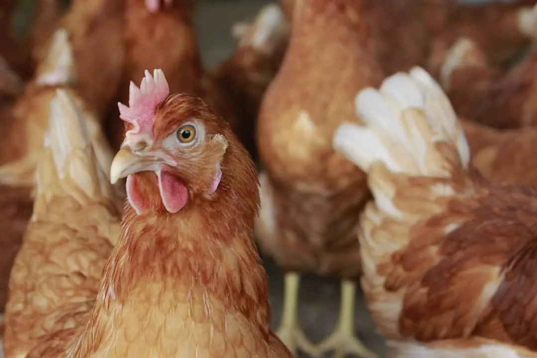 fb img 1678309912274