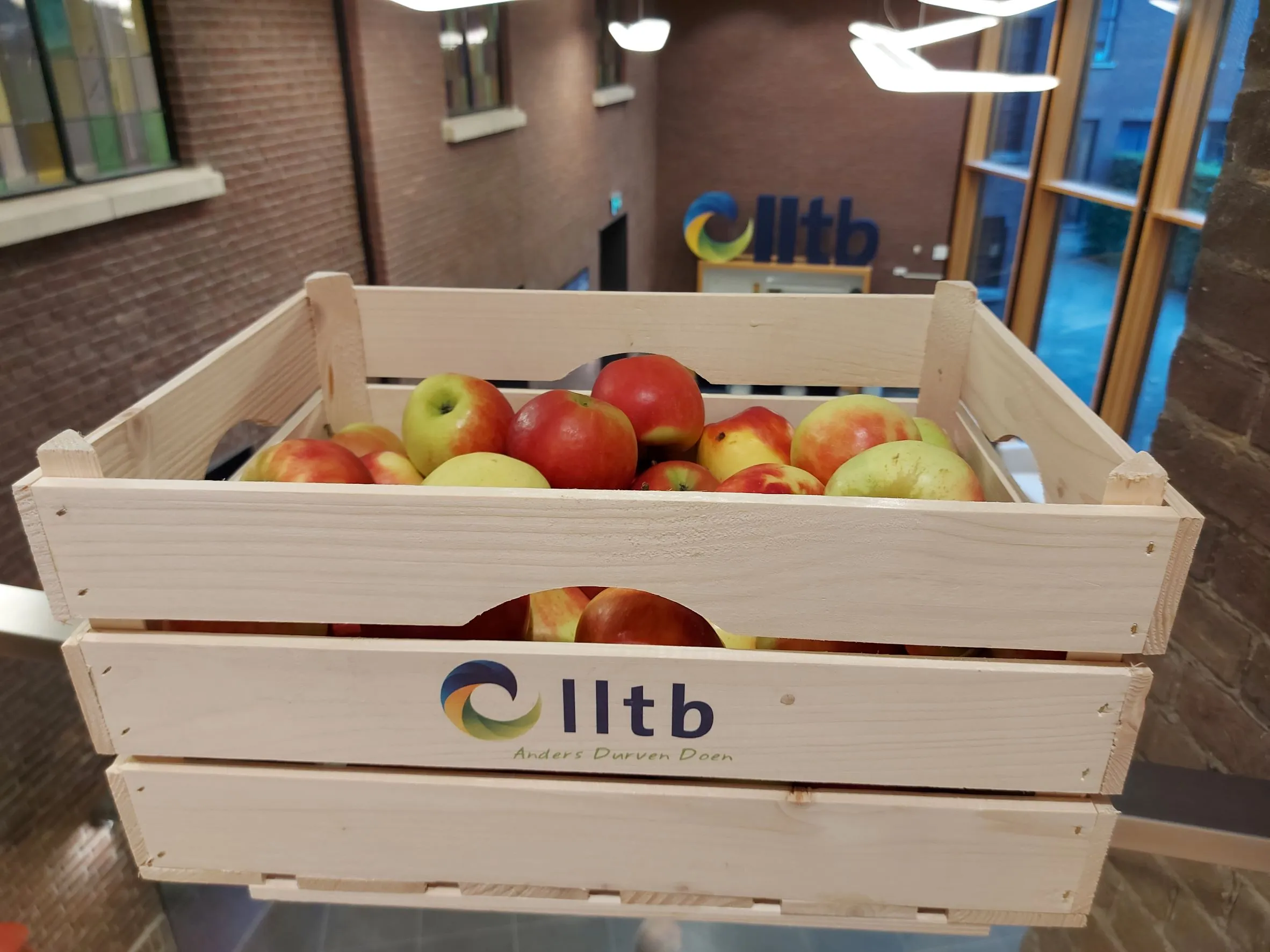fruit lltb1