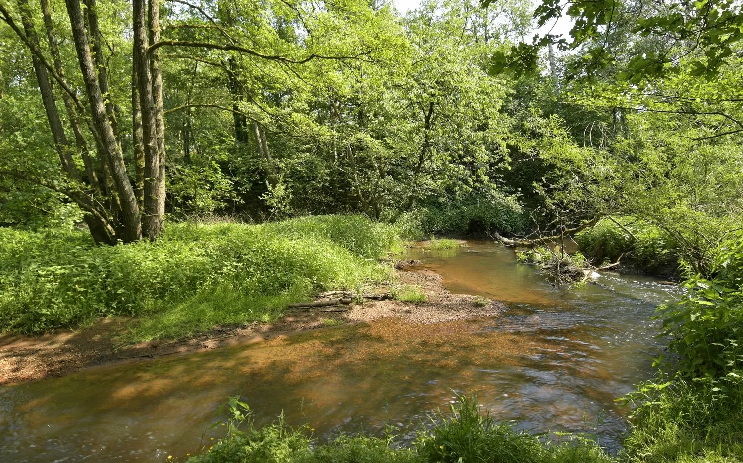 gelderns nierskanaal hli5481 henk heijligers