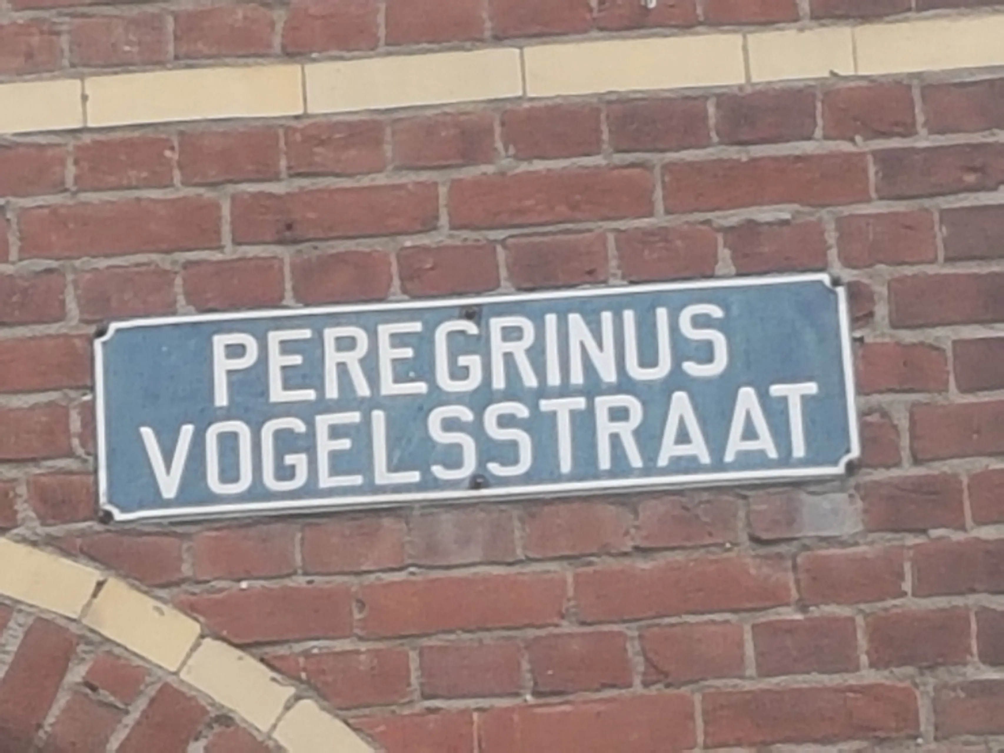 guus