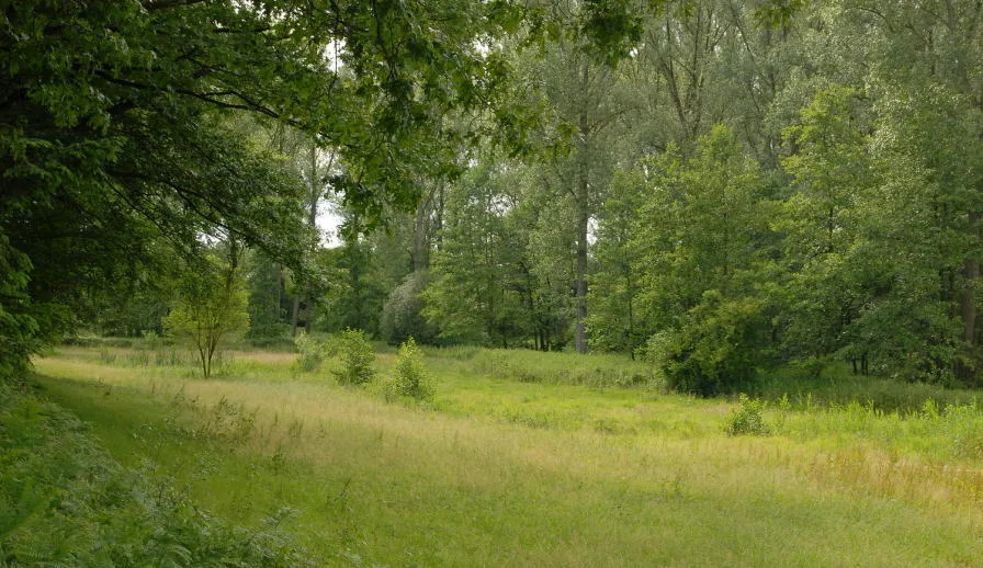 haelensbeekdal hli 9506 1