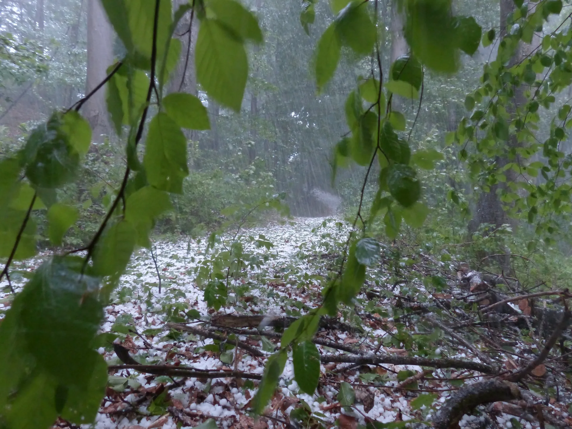 hail 123043 1920