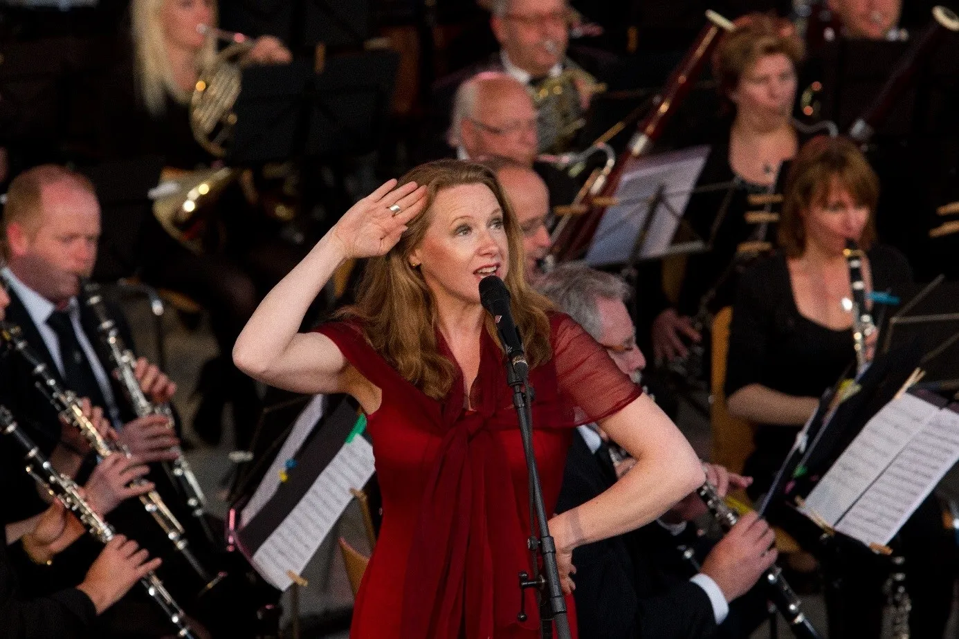 hsm micheline van hautem