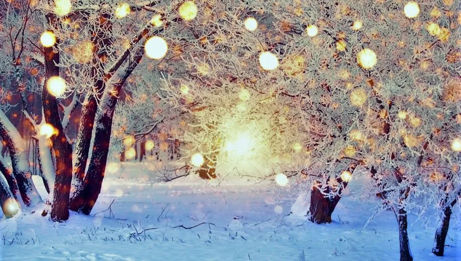 image001 1 915x518 1