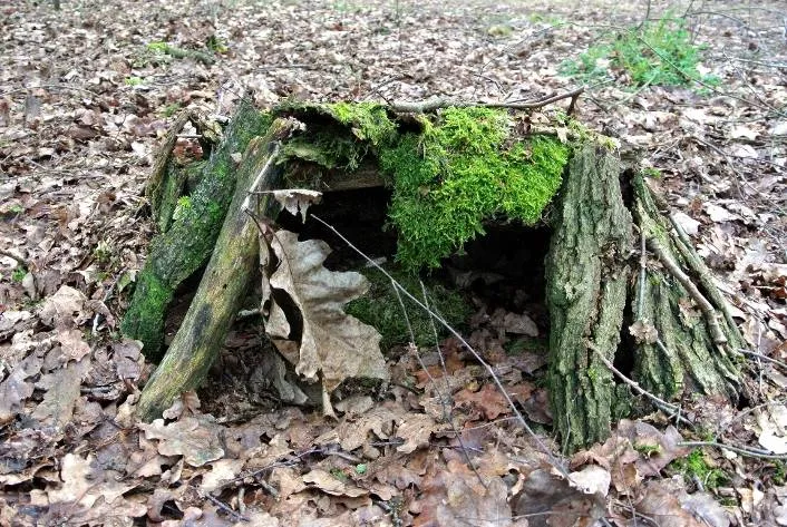 image002