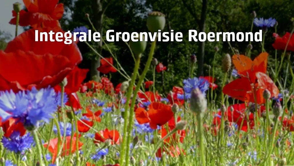 integrale groenvisie