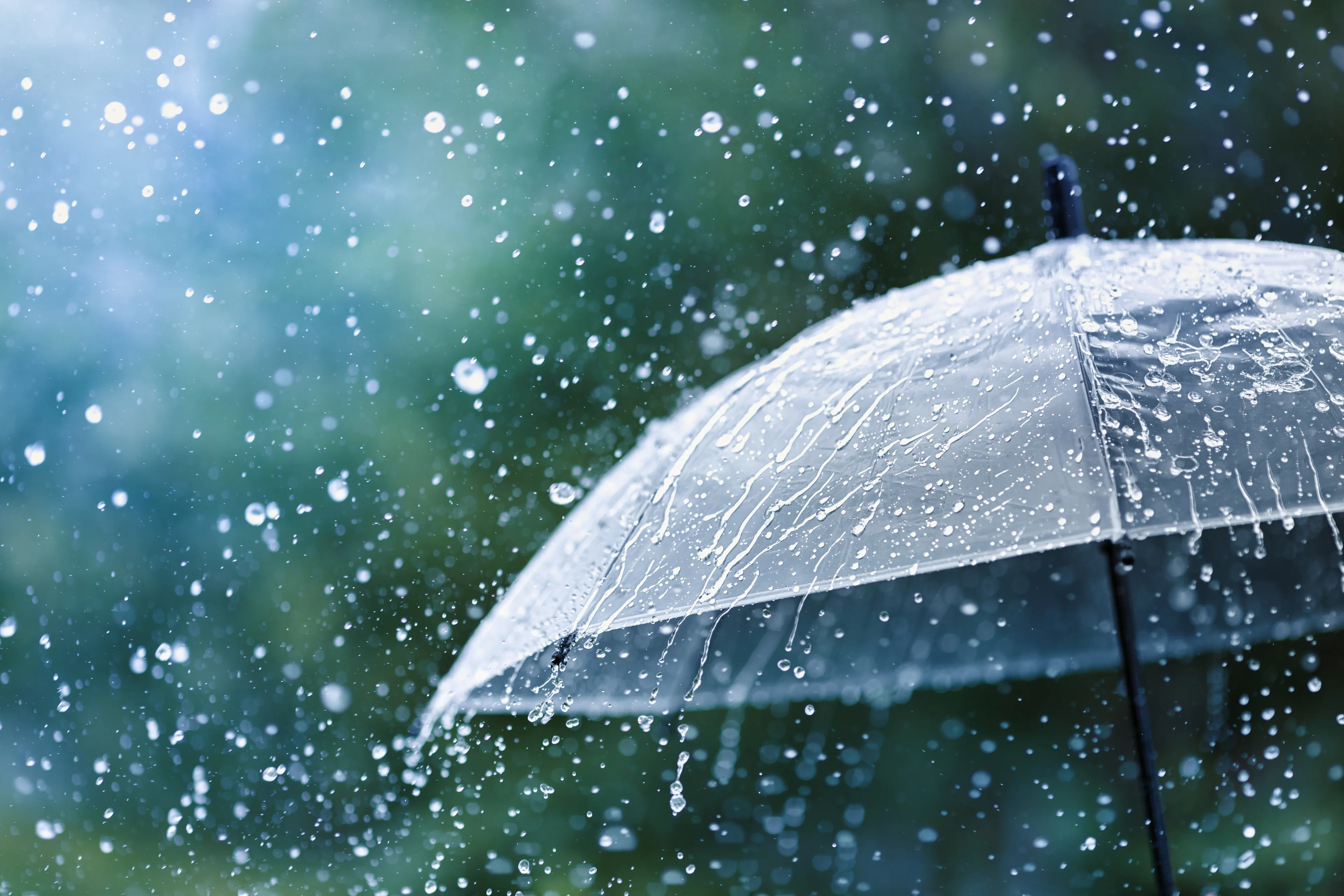 istock 1257951336 1