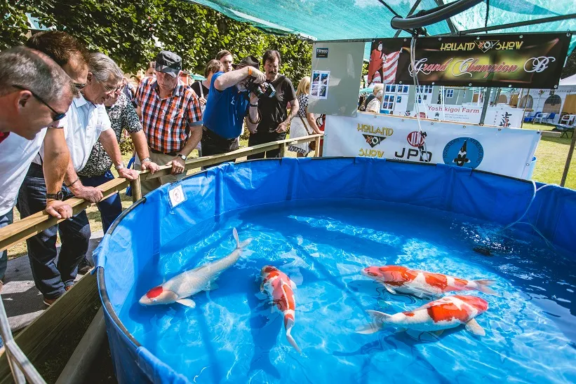 kasteeltuinenarcen evenement hollandkoishow