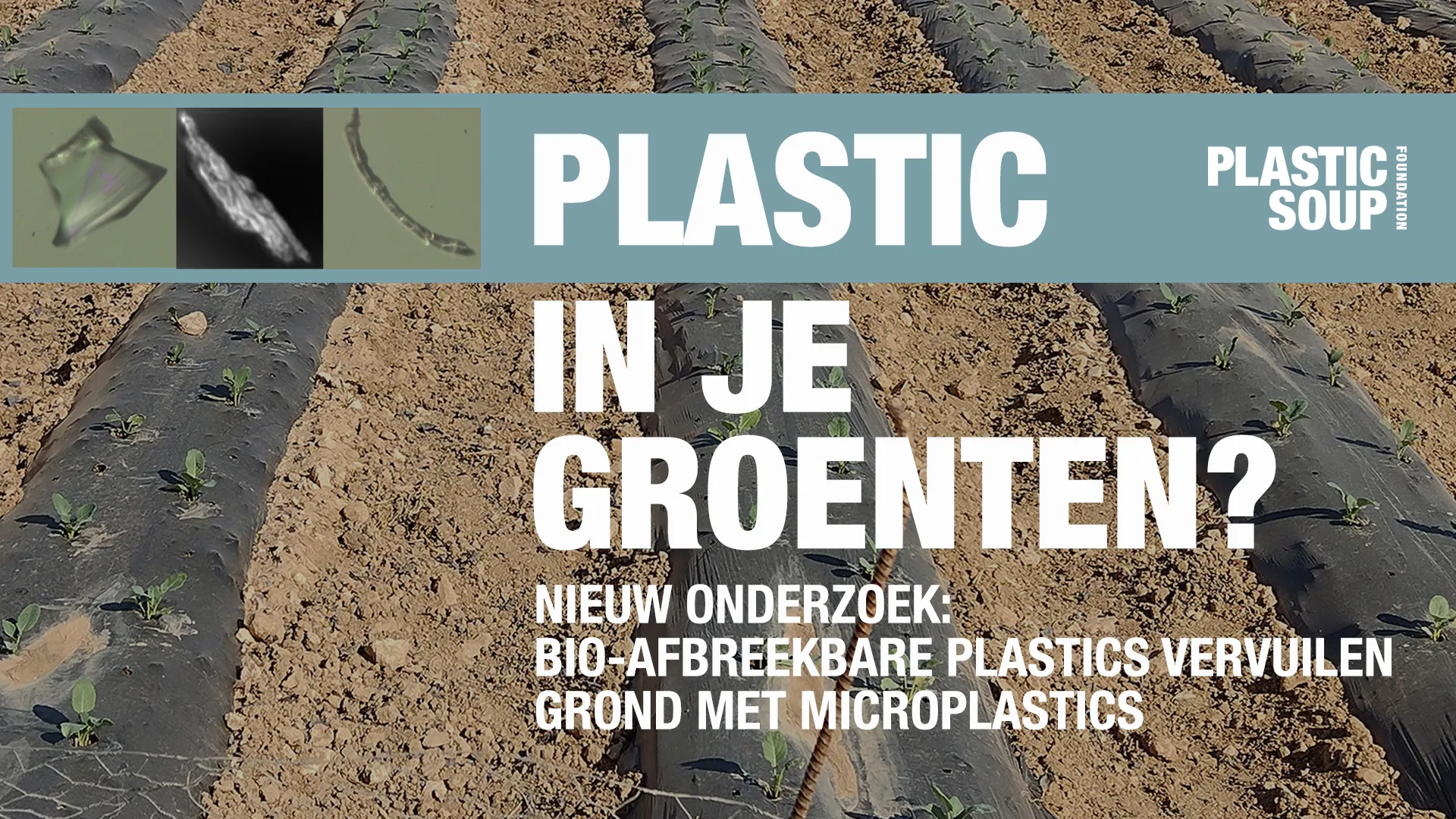 mulch keyimage 1920x1080 def nl