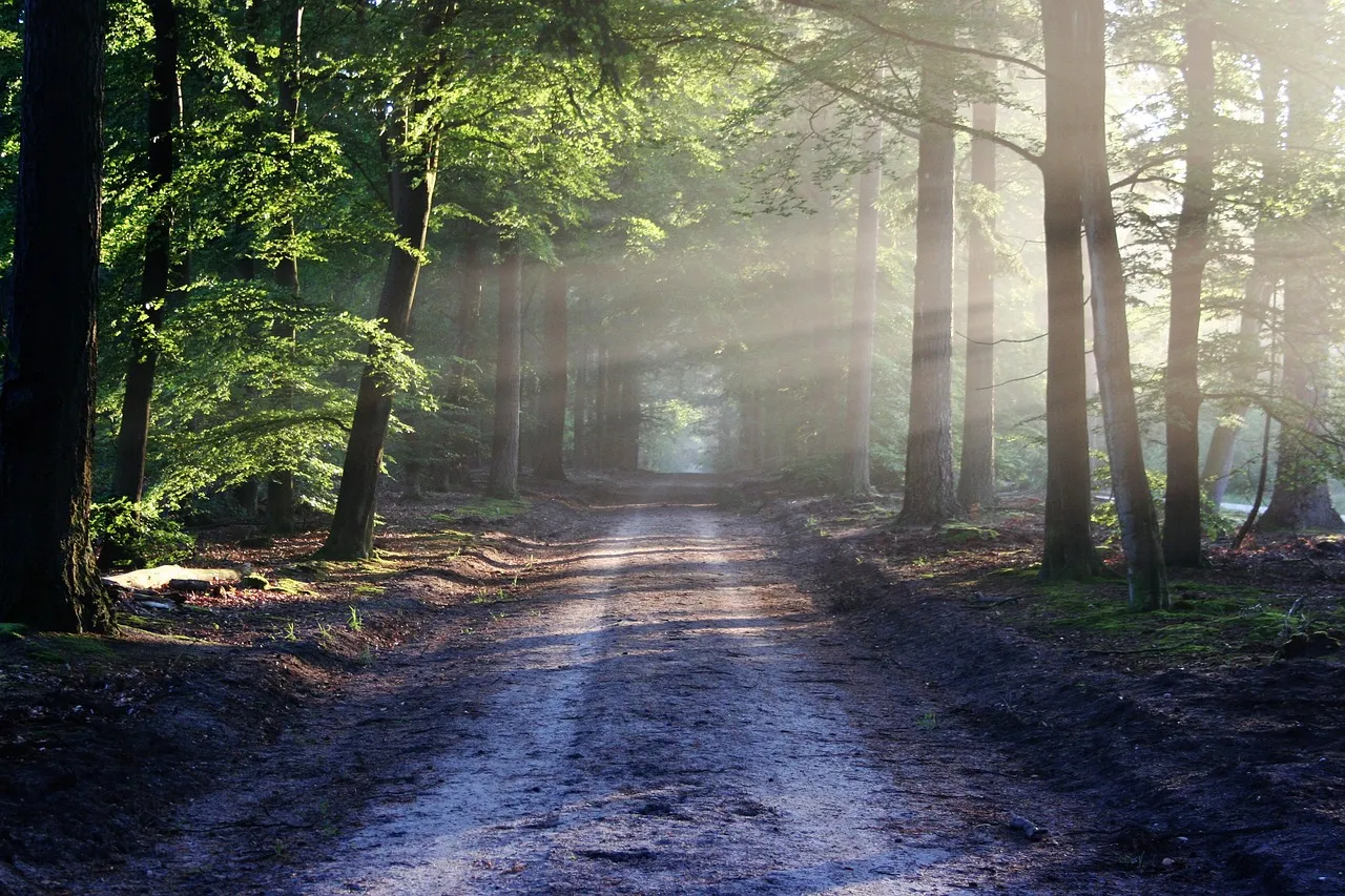 natuur